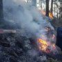 Tim Pemadam Kesulitan Jangkau Titik Kebakaran Hutan Gunung Arjuna