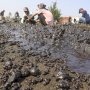 Minyak Pertamina Tumpah di Karawang, Menteri Susi Minta Perbanyak Oil Boom