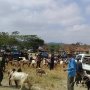 Jelang Iduladha, Pasar Hewan Ini Diperluas untuk Menampung Kambing Kurban