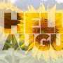 Agustus Trending di Twitter, Ternyata Dikenal sebagai Bulan Ganja