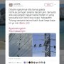 Listrik Mulai Menyala, Warganet Bikin Tagar #terimakasihpln