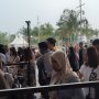 Tak Ada Garis Antrean di Konser Westlife, Penonton Ricuh Saling Sela