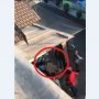 Ngakak! Pertengkaran Pasangan Ini Bikin Salah Fokus