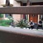 Kediaman Dua Mantan Anak Buah Gubernur Jatim Era Soekarwo Digeledah KPK