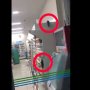 Video Tikus Berkeliaran di Gerainya Viral, FamilyMart Minta Maaf