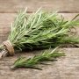 Cara Merawat Rosemary Sampai Subur dan Tidak Mudah Mati