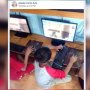 Mirip Pro Player, Bocah Warnet Ini Punya Posisi Anti Mainstream