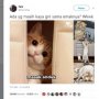 Bikin Warganet Gemas, Begini Kelakuan Anak Kucing Saat Ngerepotin Emaknya