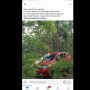 Duh, Dianggap Tak Sopan Saat Tanya Jalan, Honda Jazz Nyasar ke Hutan