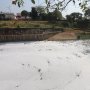 Tercemar Limbah, Air Sungai Banjir Kanal Timur Berbusa
