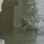 Pria Nekat Terjun dari Jembatan Demi Selamatkan Benda Peninggalan Istri