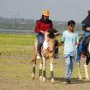 Sensasi Wisata Berkuda di Bendungan Batujai Sambil Berswafoto
