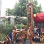 Pasien Sakit Jiwa dan Orang Waras Lomba Panjat Pinang, Siapa yang Menang?