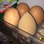 Dikira Telur, Begini Kocaknya Kelakuan Kakak Mengerjai Adiknya