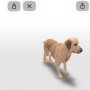 Pakai Teknologi Augmented Reality, Google Tampilkan Gambar 3D