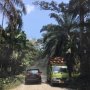 Empat Jam Bermobil Demi Jumpai Gajah Kesayangan Nicholas Saputra