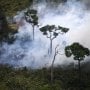 Dilanda Kebakaran Hutan, Ratusan Warga Australia Mengungsi