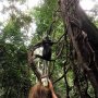 Thomas Leaf, Warga Asli Berjambul Mohawk dari TN Gunung Leuser