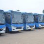 Mereknya 'Gado-Gado', Logo Bus Ini Bikin Orang Bingung