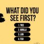Gambar Pertama Apa yang Dilihat? Ungkap Kepribadian Tersembunyi Anda