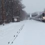 Serunya Menyambangi Yakutsk, Kota Salju Abadi bersama Permafrost Express