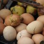 Surga Kuliner Ekstrem, Ini 5 Makanan Tak Biasa yang Ada di Vietnam