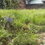 Pakai Kardus Mi Instan, Jasad Bayi Laki-laki Dibuang ke Tempat Sampah