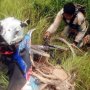 Ban Bocor Diisi Jerami, Pemotor Off-Road Sanggup Tempuh Dua Negara
