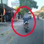 Naik Motor Sambil Gendong Ular, Pemotor Ini Bikin Pengguna Jalan Resah