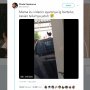 Salah Tempat Bertelur, Telur Ayam Ini Berakhir Mengenaskan