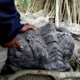 Bongkahan Batu Diduga Terkait Situs Candi Gedog di Blitar Kembali Ditemukan