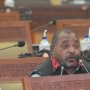 Anggota DPR Dapil Papua Barat : Perlu Kanalisasi Isu Papua