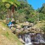 Cocok untuk Liburan Keluarga, Ini 5 Potret Hijaunya Kebun Raya Cibodas