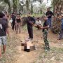 Cabuli Anak Kandung Hingga Hamil, Samsu Tewas Ditembak Polisi