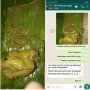 Geger! Curhat Wanita Beli Nasi Padang Dapat Usus Isi Kotoran Sapi