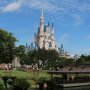 Demi Bisa Pergi di Disney World Tiap Bulan, Wanita Ini Melakukan Donor Plasma 2 Kali Seminggu