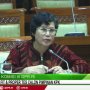 Novel Baswedan Laporkan Pelanggaran Etik Lili Pintauli Siregar ke Dewas KPK