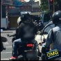 Sadis, Tulisan Jaket Ini Sindir Keras Pengendara yang Suka Bunyikan Klakson