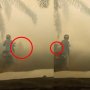 Kabut Asap Tebal di Provinsi Kalteng, Pemotor Tabrak Pohon