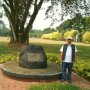 Kisah Pohon Beringin Tua yang Ditanam BJ Habibie Puluhan Tahun Silam
