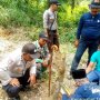 Antisipasi Gangguan Harimau di Permukiman, BKSDA Aceh Datangkan Pawang