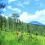 Bukit Grenden, Wisata Alam nan Sejuk di Kaki Gunung Merbabu