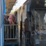 Penumpang TransJakarta Meningkat Setelah Ganjil Genap Diperluas