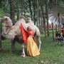 Antusias Fotografer Ikuti Lomba Foto Satwa di Taman Safari