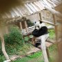 Beli Tiket Promo Libur Sekolah 2023 Taman Safari Bogor, Ada Diskon hingga Rp25 Ribu!