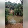 Viral Motor Pakai Flying Fox untuk Seberangi Sungai, Camat Turun Tangan