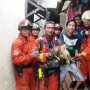 Tercebur Sumur, Lala Si Kucing Kampung Selamat Ditolong Petugas Damkar
