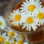 Zodiak Kesehatan Besok: Virgo, Seduh Teh Chamomile