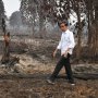 Jokowi Pamer Sepatu Kotor, Gerindra: Cukup Pencitraan Kayak Masuk Got