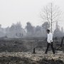 Greenpeace Kritik Gaya Jokowi saat di Lokasi Kebakaran Hutan